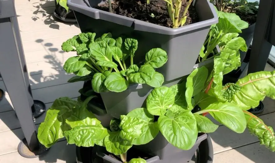 Gemüse vertikal anbauen – eine tolle Idee für kleine Balkone
