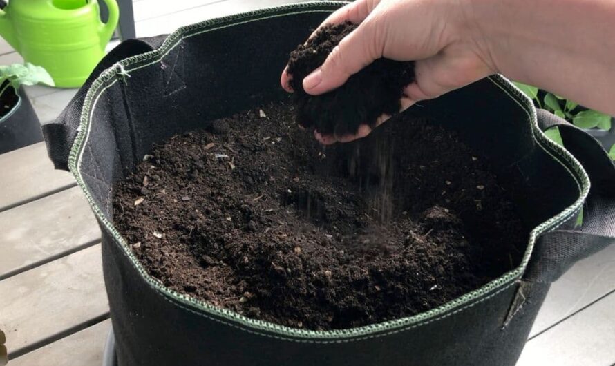Erde aufbereiten – 2 Varianten für Hochbeet und Töpfe