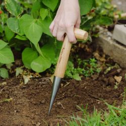 Pflanzholz von Kent & Stowe