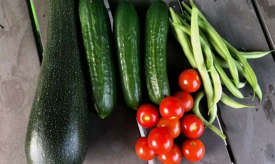 Welches Gemüse auf dem Balkon pflanzen? – 21 Tipps!