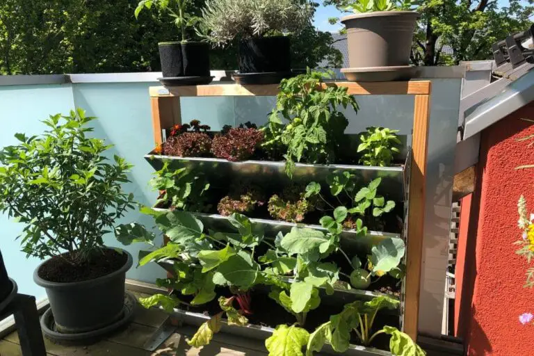Vertikalbeet Gärtnern mit wenig Platz Balkon Oase