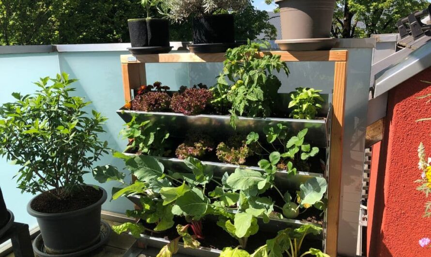 Vertikalbeet – Gärtnern mit wenig Platz