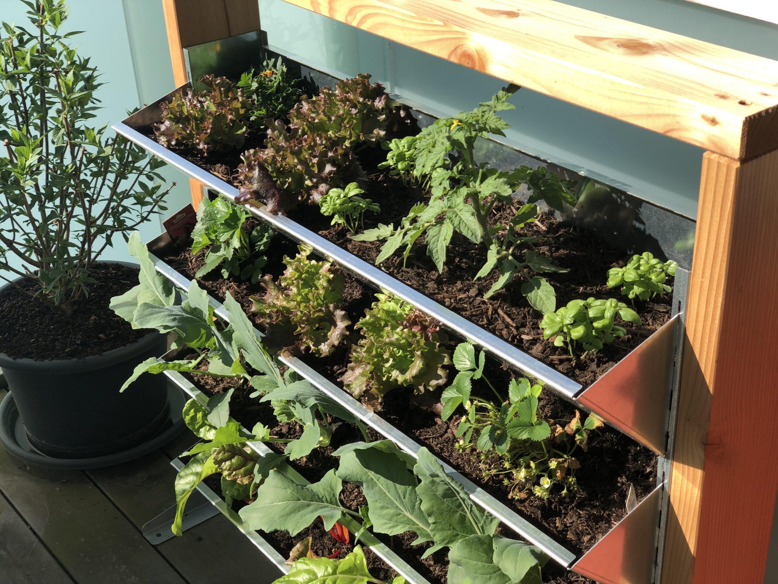 Vertikalbeet mit Gemüse bepflanzt