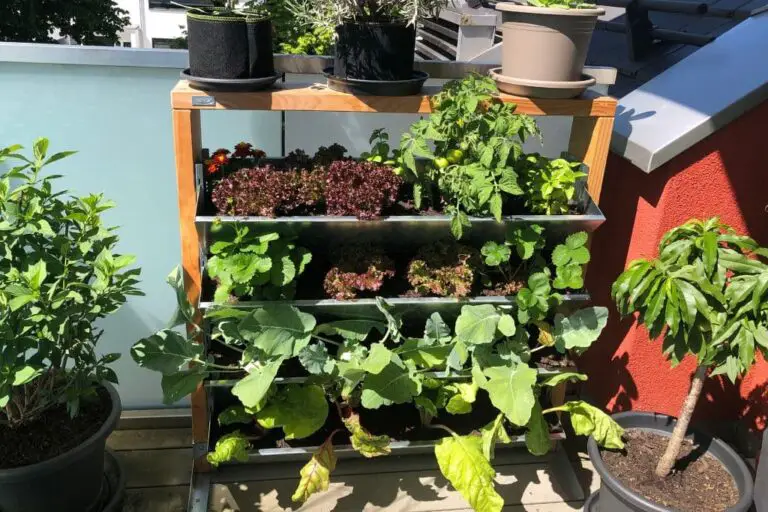 Vertikalbeet Gärtnern mit wenig Platz Balkon Oase